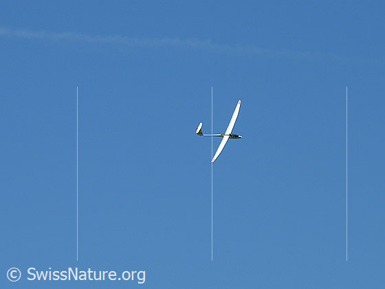 Foto: Segelflugzeug im Flug.