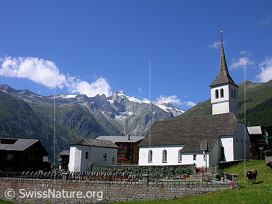 Foto: Kirche Bellwald mit Gross Wannenhorn, Klein Wannenhorn und ganz rechts dem Risihorn im Hintergrund.