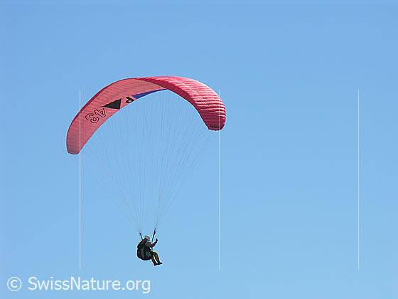 Foto: Gleitschirmflieger im Flug bei blauem Himmel