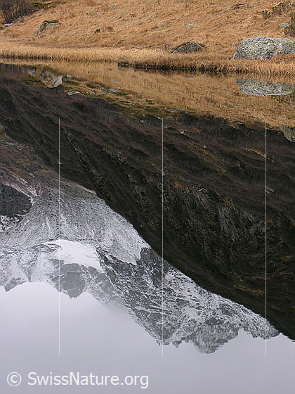 Foto: Spiegelung des leicht verschneiten Tällis und Ofenhorns mit herbstlicher Umgebung im spiegelgatten Halsesee.