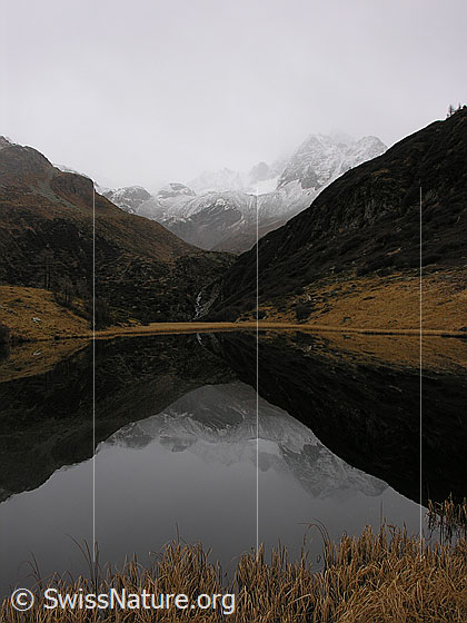 Foto: Blick über das Gras am Ufer auf den spiegelglatten Halsesee. Spiegelung der herbstlichen Umgebung und des leicht verschneiten Ofenhorns mit Tälli.