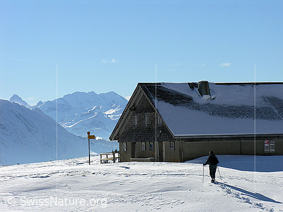 Foto: Schneeschuhläufer bei Alphütte in der Chlus (Schrattenfluh). Im Hintergrund ist die Blüemlisalp zu sehen.
