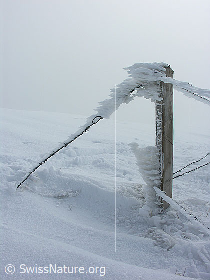 Foto: Gefrorener Schnee und Rauhreif haben sich an einem Zaunpfosten festgesetzt.