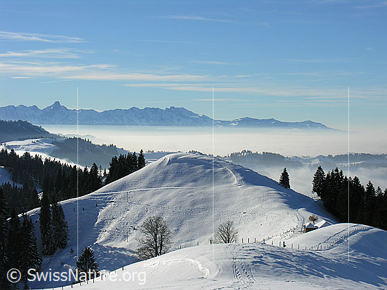 Foto: Blick vom Wachthubel über die Emmentaler Hügellandschaft mit Nebelmeer Richtung Stockhornkette.