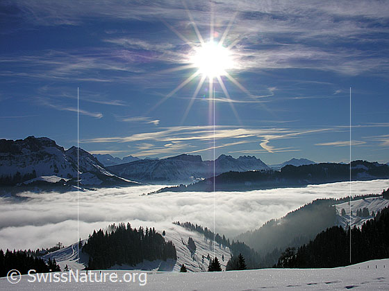 Foto: Blick vom Wachthubel über Emmentaler Hügel und Nebelmeer zu Hohgant West, Trogenhorn, Sieben Hengsten, Gemmenalphorn, Sigriswiler Rothorn und Niesen.
