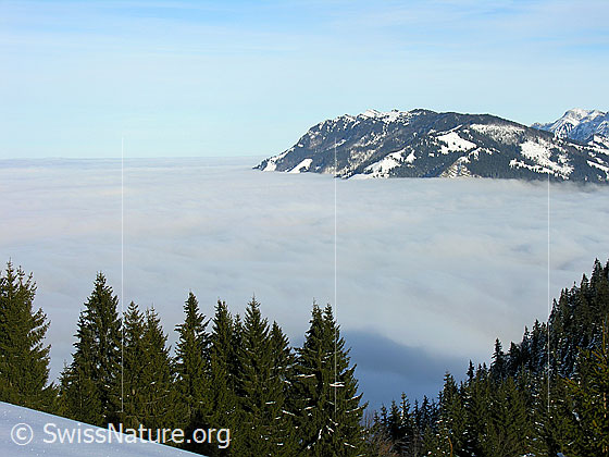 Foto: Blick vom Wachthubel über das umfassende Nebelmeer zur Beichlen.