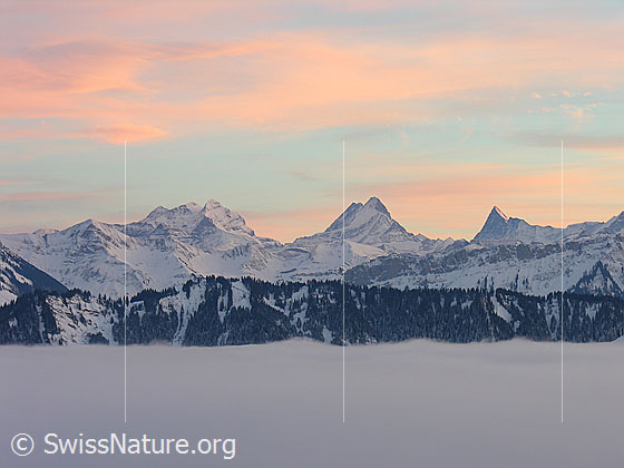 Foto: Abendstimmung mit rötlich gefärbten Wolken auf dem Rämisgummen, Eggiwil. Blick über das umfassende Nebelmeer Richtung Berner Alpen mit Wetterhorn, Schreckhorn und Finsteraarhorn.