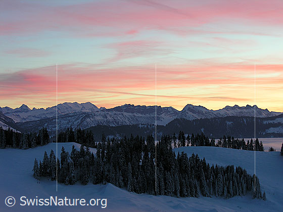 Foto: Abendstimmung mit Abendrot auf dem Rämisgummen, Eggiwil. Blick über das umfassende Nebelmeer zur Blüemlisalp, den Sieben Hengsten, Gemmenalphorn und Sigriswiler Rothorn. Davor schneebedeckte Emmentaler Hügellandschaft und Wälder umgeben von Nebelschwaden.