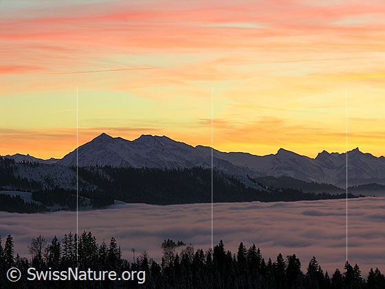 Foto: Abendstimmung mit gefärbten Wolken auf dem Rämisgummen, Eggiwil. Blick über das umfassende Nebelmeer Richtung Niesen.