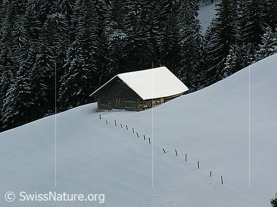Foto: Schneebedeckte Winterlandschaft mit Stall und verschneitem Tannenwald. Ein Zaun führt auf die Hütte zu.