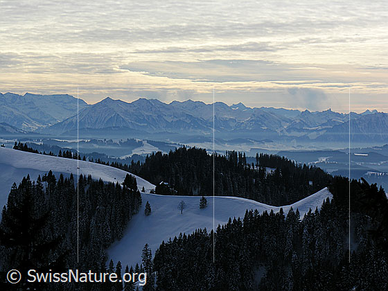 Foto: Blick vom Farnliesel über die schneebedeckte Krete der Hohmatt Richtung Niesen. Der Himmel ist mit einer Wolkenschicht überzogen.