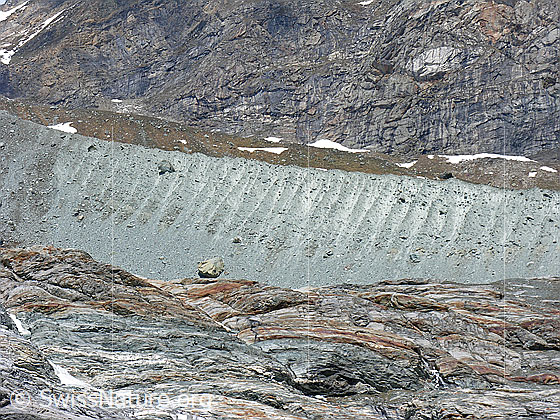 Foto: Nördliche Seitenmoräne des Allalingletschers. Davor interessant gefärbter Gletscherschliff.
