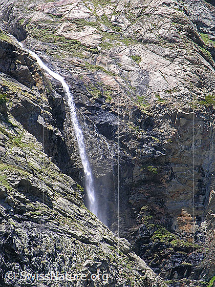 Foto: Feiner Wasserfall zwischen Saas Almagell und Mattmark.