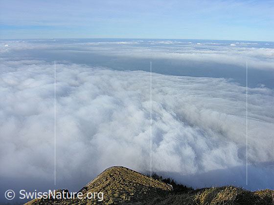 Foto: Nebelmeer über Zentralschweiz und Mittelland.