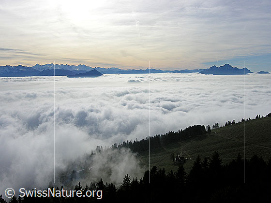 Foto: Blick von Rigi Staffelhöhe auf das Nebelmeer über der Zentralschweiz zum Pilatus.