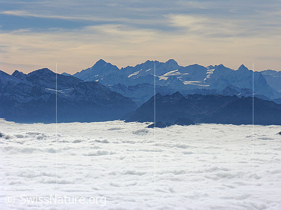 Foto: Blick von der Rigi über die Weite eines umfassenden Nebelmeers zu den Berner Alpen.