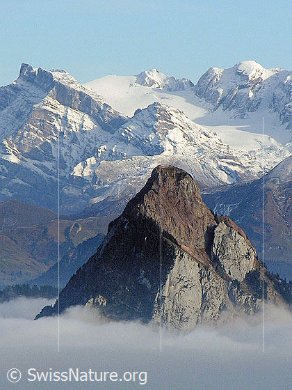 Foto: Glärnisch und Grosser Mythen mit Nebelmeer.