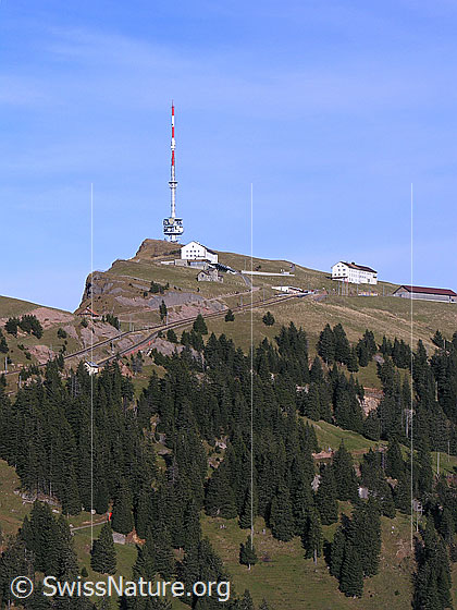 Foto: Rigi Kulm mit Sendemast.