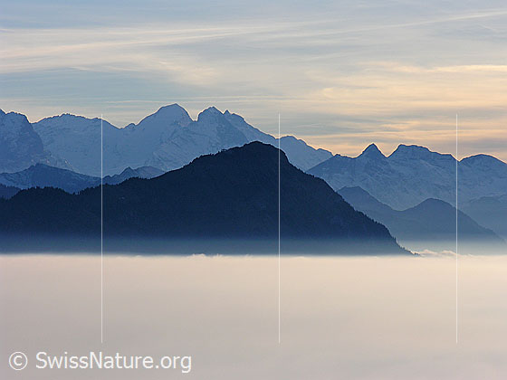 Foto: Stanserhorn und Berner Alpen mit Nebelmeer.