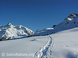 C034687: Berge und Schneeschuhspur