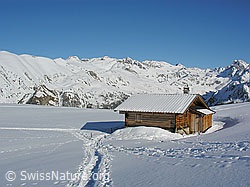 C034691: Verschneite Berge, Alphütte und Schneeschuhspuren