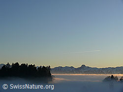 C045285: Nebelmeer vor der Stockhornkette