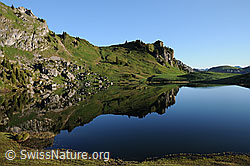 C049781: Ruhiger Bergsee in grüner Umgebung