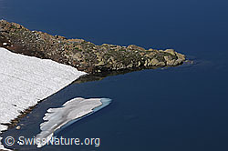 C051799: Halbinsel und Eisscholle