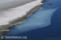 C051803: Eisscholle und Spiegelung