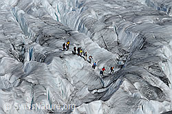 C062369: Alpinisten im Spaltenlabyrinth des ausgeaperten Aletschgletschers