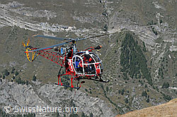 C062912: Helikopter im Anflug