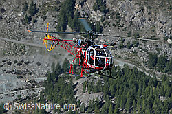 C062921: Helikopter im Gebirge