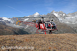 C062953: Helikopter vor Walliser Alpen