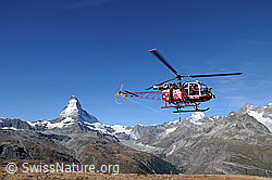 C062956: Matterhorn und Air Zermatt