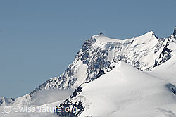 C068028: Signalkuppe und Zumsteinspitze