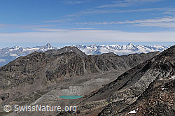 C068044: Blick vom Jegihorn zu den Berner Alpen