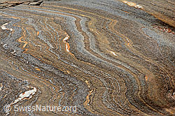 C138584: Schöne Zeichung in Gletscherschliff aus Bündnerschiefer