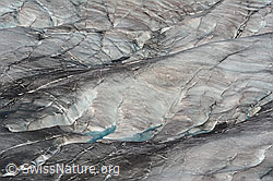 C138946: Kleine supraglaziale Seen auf dem Grossen Aletschgletscher