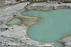 C139975: Tümpel im Gletschervorfeld