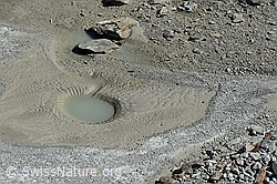C139985: Wasserloch im Gletschervorfeld des Fieschergletschers