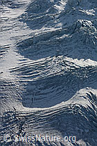 C142334: Spaltenzonen im Blüemlisalpgletscher