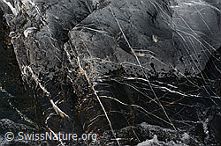 C155170: Hydrothermale Adern in einem Kalksteinfelsen