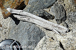 C166745: Holzfund Nr. 2 am Unteraargletscher