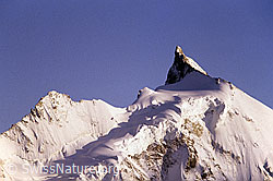 DIA84013: Zinalrothorn