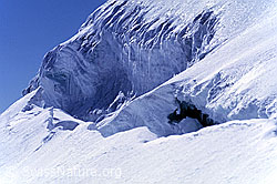 DIA86030: Bergschrund am Alphubel