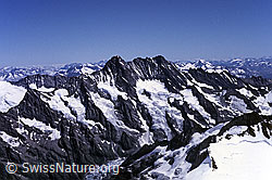 Photo: Schreckhorn und Lauteraarhorn