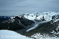 Foto: Morteratschgletscher vom Piz Mandra