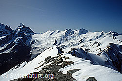 DIA92065: Piz Roseg, Piz Glüschaint, Il Chapütschin