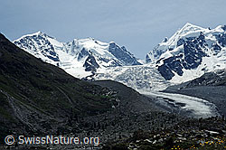 DIA92080: Piz Bernina und Piz Roseg
