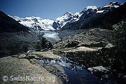 Foto: Morteratschgletscher
